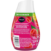 12 Pack Renuzit Adjustable Solid Gel Air Freshener, Forever Raspberry