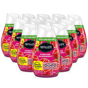 12 Pack Renuzit Adjustable Solid Gel Air Freshener, Forever Raspberry