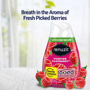 Renuzit Forever Raspberry 3 pk