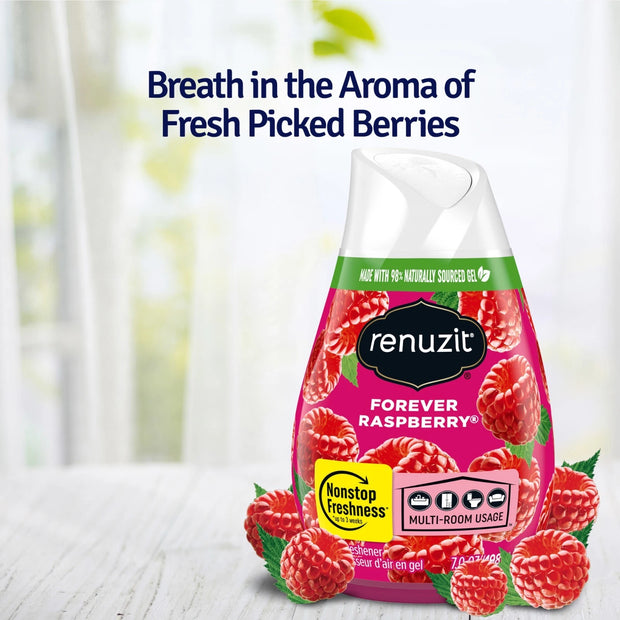 Renuzit Forever Raspberry 3 pk