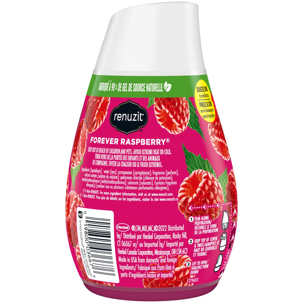 Renuzit Forever Raspberry 3 pk
